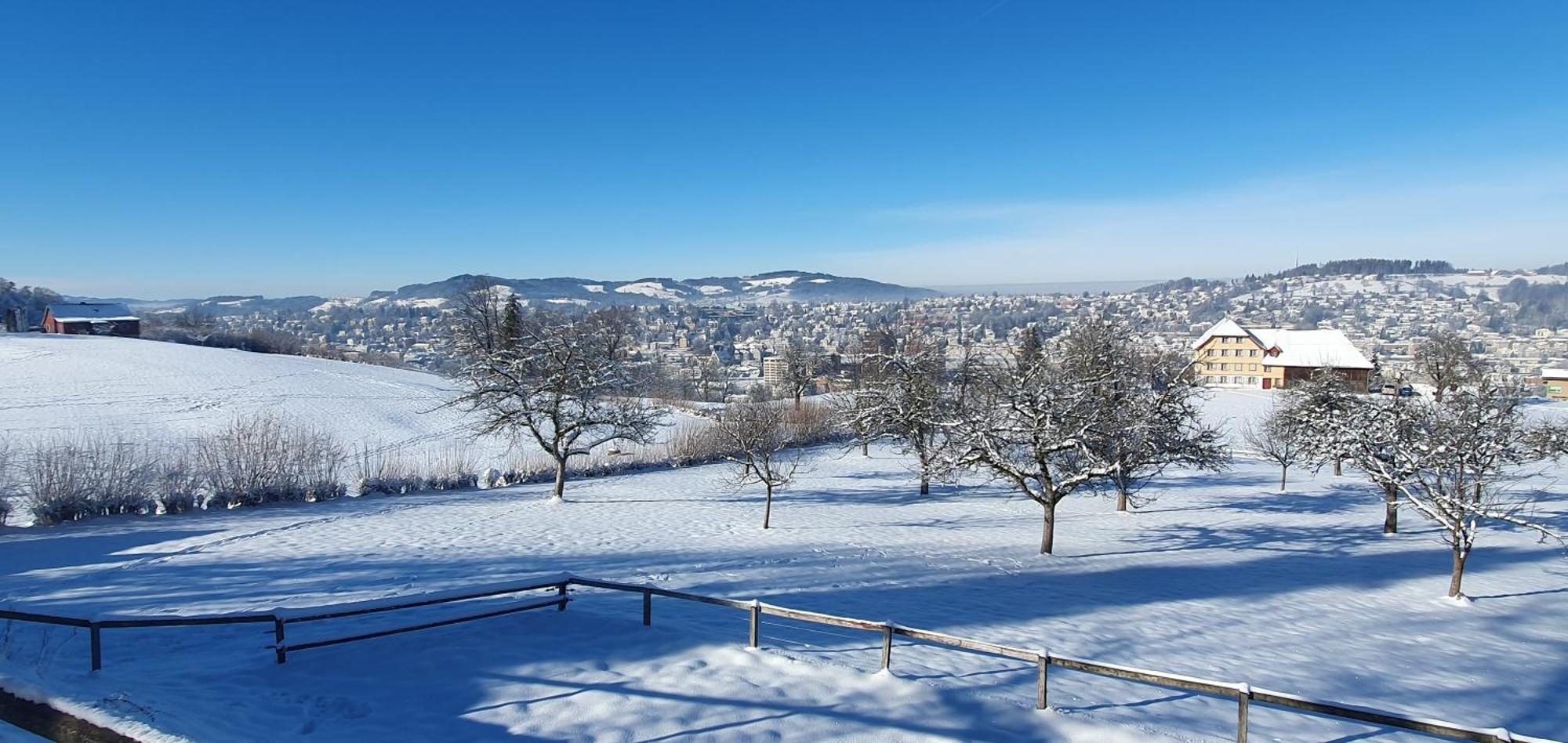 2-4 Zimmer Apartments Stilvoll Im Gertrud Schloessli - Zentral Ruhig St. Gallen Kültér fotó