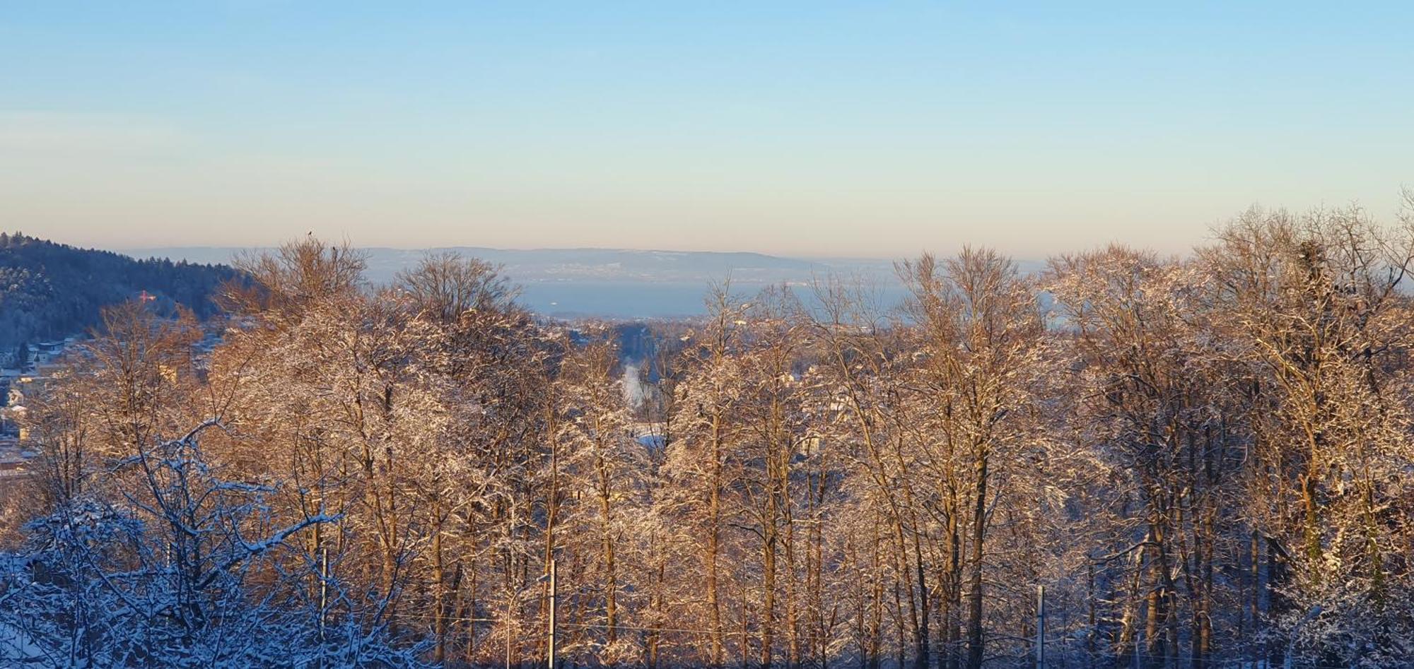 2-4 Zimmer Apartments Stilvoll Im Gertrud Schloessli - Zentral Ruhig St. Gallen Kültér fotó