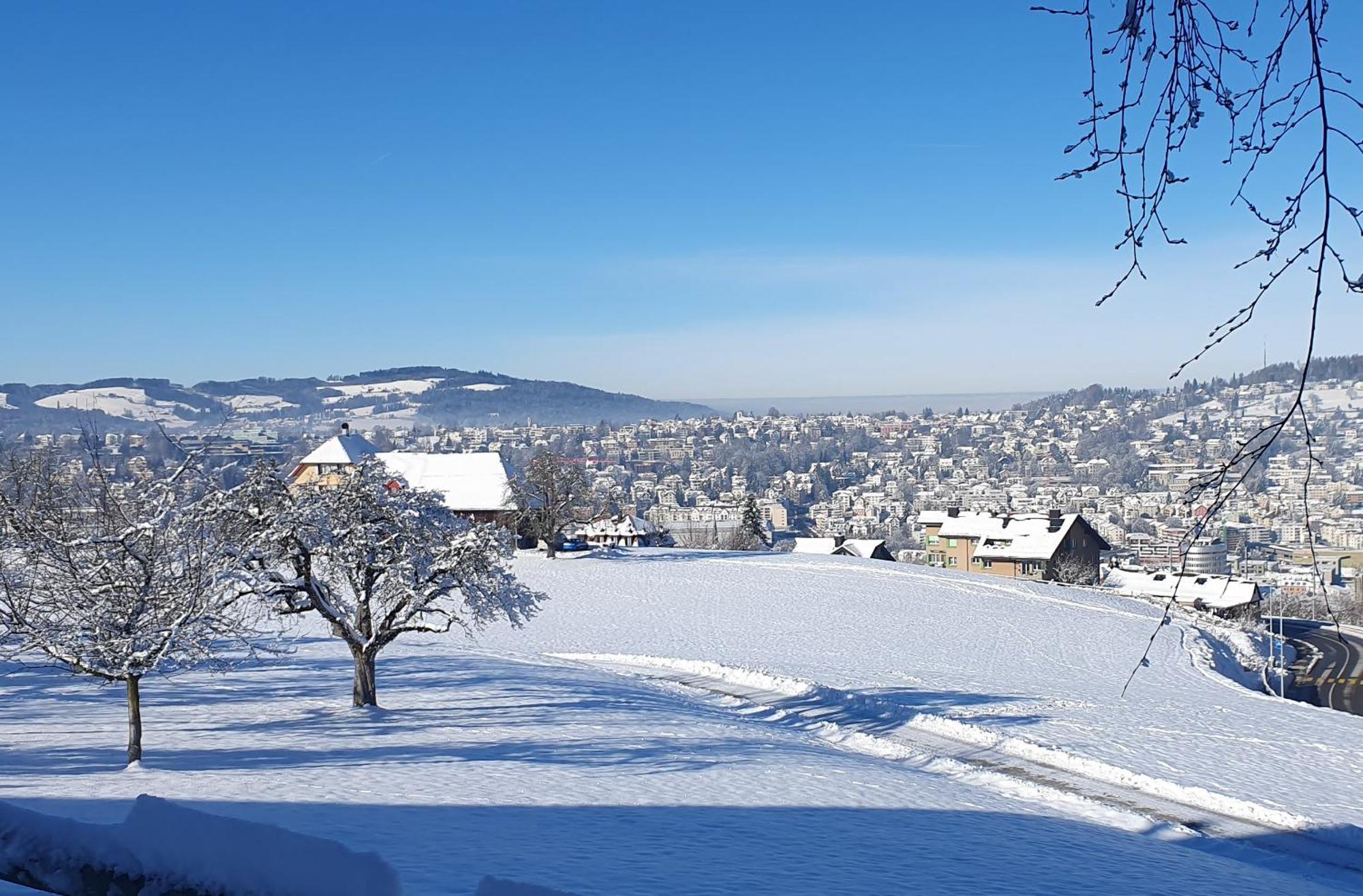 2-4 Zimmer Apartments Stilvoll Im Gertrud Schloessli - Zentral Ruhig St. Gallen Kültér fotó