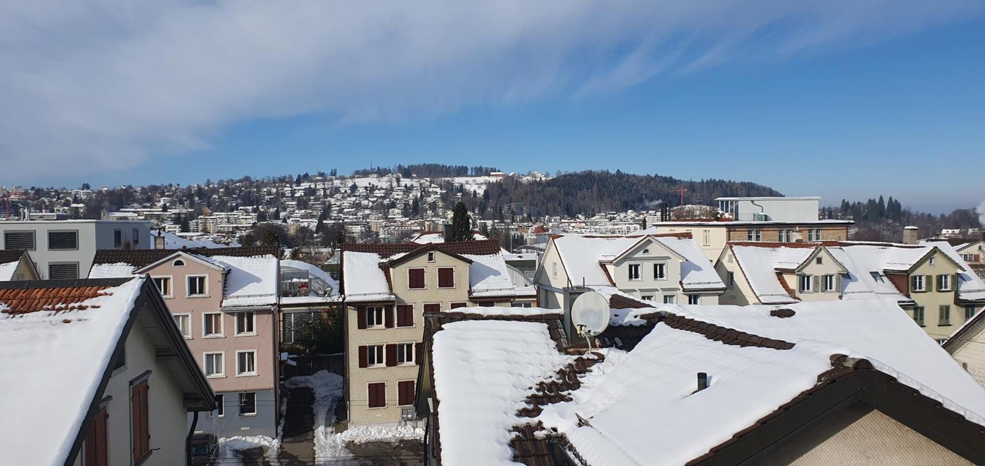 2-4 Zimmer Apartments Stilvoll Im Gertrud Schloessli - Zentral Ruhig St. Gallen Kültér fotó