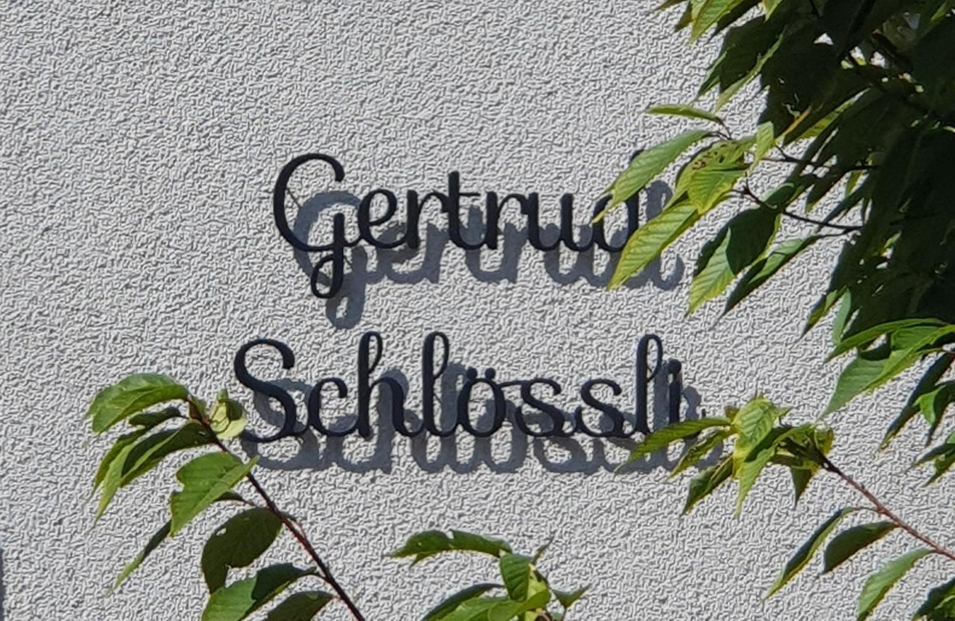 2-4 Zimmer Apartments Stilvoll Im Gertrud Schloessli - Zentral Ruhig St. Gallen Kültér fotó